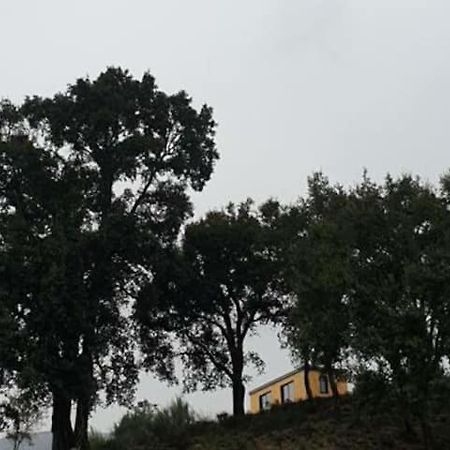 Refugio Do Sobreiro Villa Cabeceiras de Basto Luaran gambar